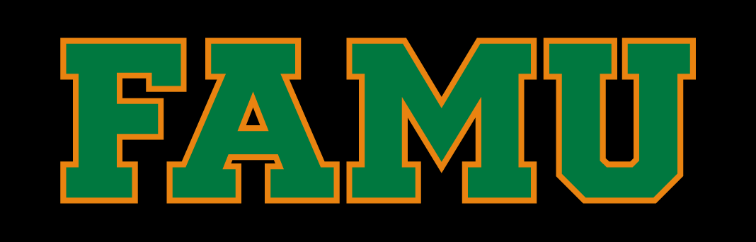 Florida A&M Rattlers 2013-pres wordmark logo v4 diy iron on heat transfer